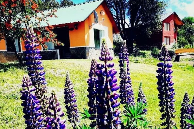 Cabaña Claro de Luna